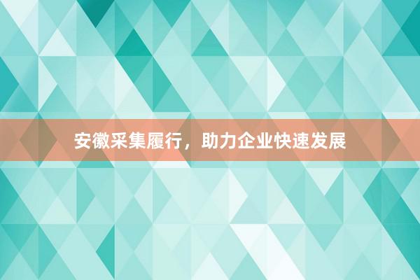 安徽采集履行，助力企业快速发展
