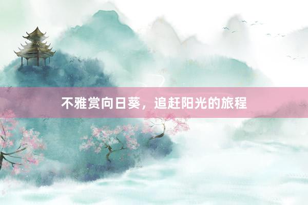 不雅赏向日葵,追赶阳光的旅程